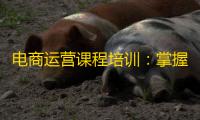 电商运营课程培训:掌握核心技能,成为电商精英,解锁将来商业脉搏